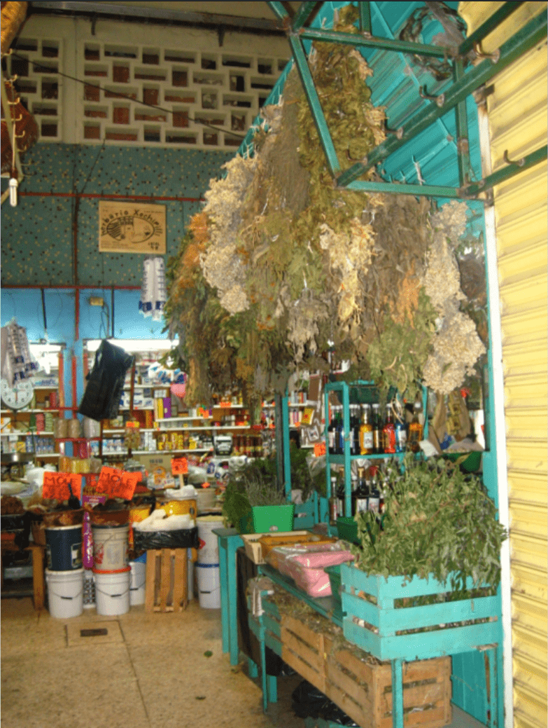 Picture of a market in Xalapa, Veracruz, Mexico. Herbs are hanging from a bright turquoise stand on the left; products line the walls in the back.